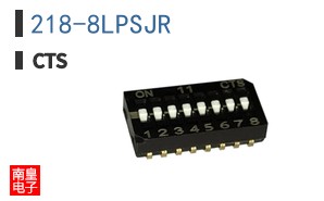 218-8LPSJR