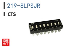 219-8LPSJR