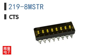 219-8MSTR