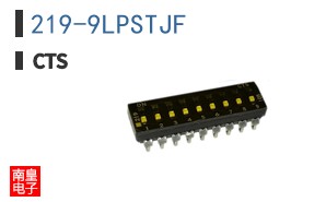219-9LPSTJF