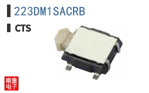 223DM1SACRB