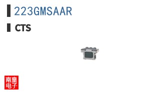 223GMSAAR