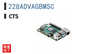 228ADVAGBMSC
