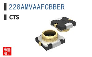 228AMVAAFCBBER