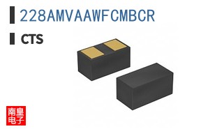 228AMVAAWFCMBCR