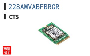 228AMVABFBRCR