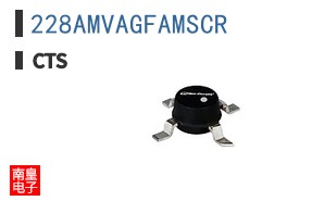 228AMVAGFAMSCR