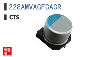 228AMVAGFCACR