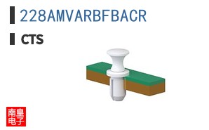 228AMVARBFBACR
