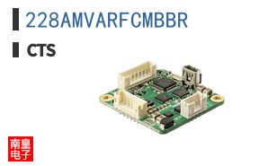 228AMVARFCMBBR