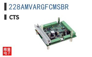 228AMVARGFCMSBR