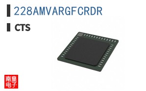 228AMVARGFCRDR