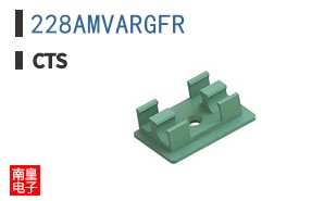 228AMVARGFR