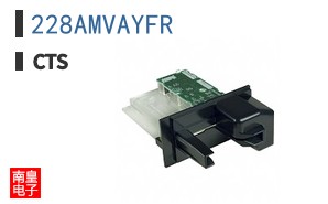 228AMVAYFR