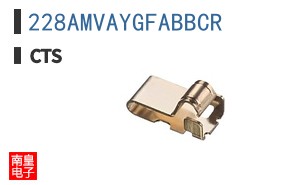 228AMVAYGFABBCR