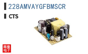 228AMVAYGFBMSCR