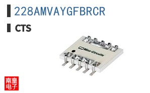 228AMVAYGFBRCR