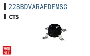 228BDVARAFDFMSC