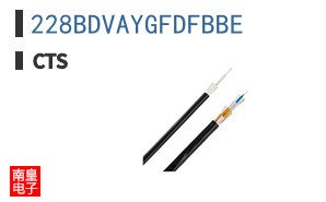 228BDVAYGFDFBBE