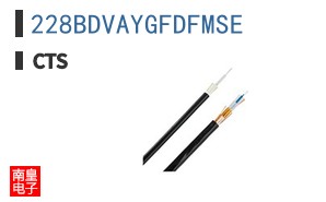 228BDVAYGFDFMSE