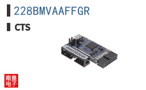 228BMVAAFFGR