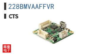 228BMVAAFFVR