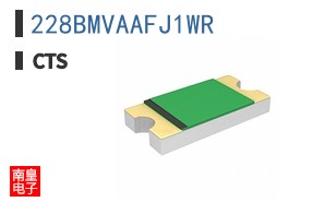 228BMVAAFJ1WR