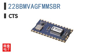 228BMVAGFMMSBR