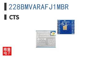 228BMVARAFJ1MBR