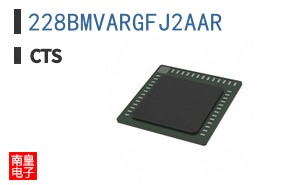 228BMVARGFJ2AAR