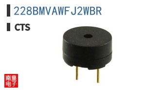 228BMVAWFJ2WBR