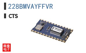 228BMVAYFFVR