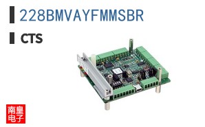 228BMVAYFMMSBR
