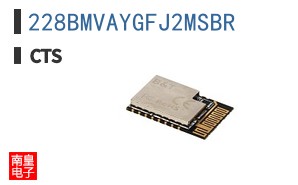 228BMVAYGFJ2MSBR