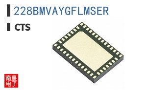 228BMVAYGFLMSER