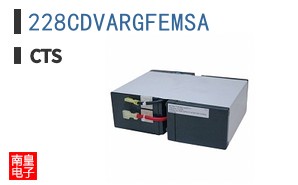 228CDVARGFEMSA