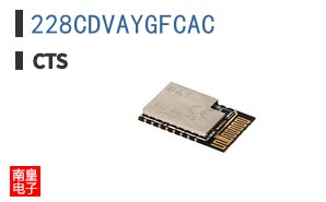 228CDVAYGFCAC