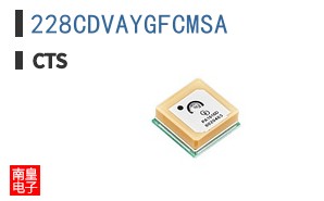 228CDVAYGFCMSA