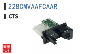 228CMVAAFCAAR