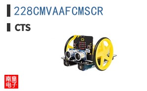 228CMVAAFCMSCR