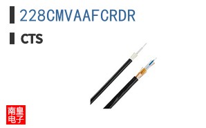 228CMVAAFCRDR
