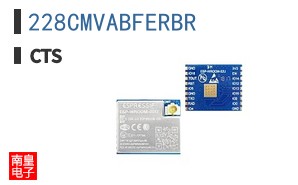 228CMVABFERBR