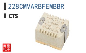 228CMVARBFEMBBR