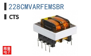 228CMVARFEMSBR