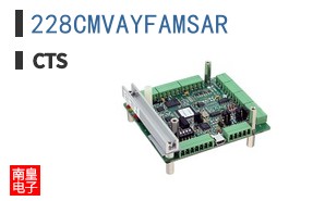 228CMVAYFAMSAR
