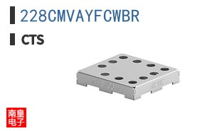 228CMVAYFCWBR