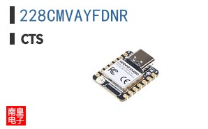 228CMVAYFDNR