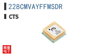 228CMVAYFFMSDR