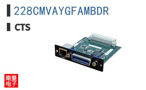 228CMVAYGFAMBDR