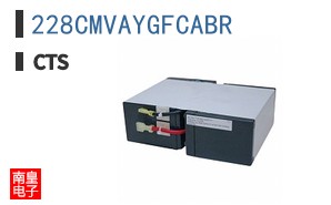 228CMVAYGFCABR